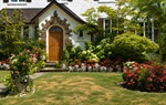Don’t Give Up on Your Long Island Lawn in August